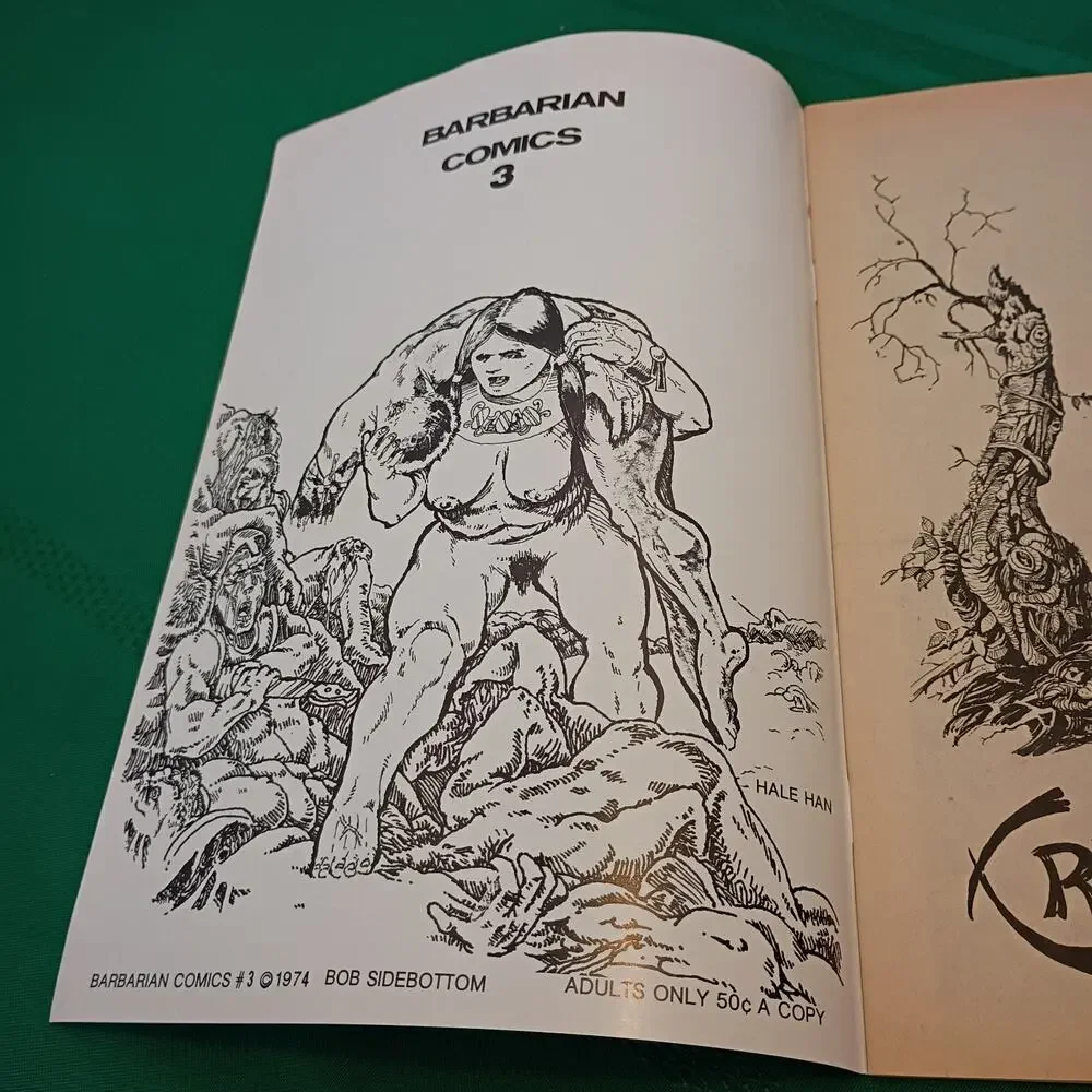 Barbarian Comics Lot of 2 (#2 & #3) Hale Han 1973-1974 California Comics